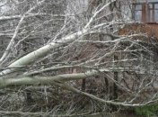 Непогода в Одесской области: один человек погиб