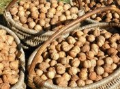 В Украине может сократиться урожай грецких орехов