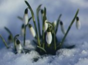 Какой праздник 10 марта: народные приметы и запреты