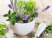 Список трав, которые помогут бороться с раком 