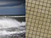 Черное море "зацвело" нейротоксинами после ливней: что нашли в воде