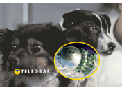 Иллюстративное фото