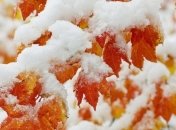 Синоптики рассказали, какую зиму ожидать украинцам