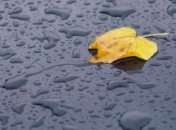 Циклон принесет в Украину дожди и похолодание 