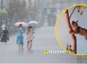 Погода в столице Украины