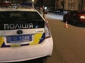 Полиция проводит следственные действия с Шуфричем-младшим