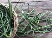 Такая заготовка станет вашей любимой