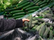 Чим підживити огірки