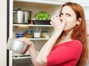 Что делать, если из холодильника воняет – советы