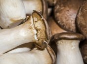 Ці поради вам знадобляться