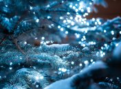 Зима возвращается? Какая будет погода в Киеве на Новый год