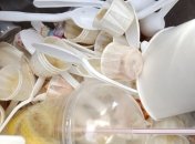 Швеция может запретить пластиковую посуду