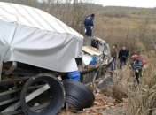 На Житомирщине грузовик слетел в кювет, водитель погиб
