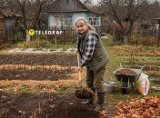 Перед посадкой лука и чеснока на зиму, огород нужно подготовить