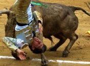 Впервые за полвека отменена коррида в Эквадоре