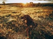 Осень дарит солнечные дни