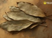 Действенный способ привлечь деньги (фото создано с помощью ИИ)