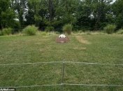 Могила Івани Трамп у Нью-Джерсі