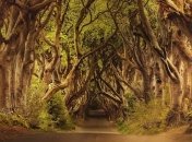 Живописные дороги и тропы, способные заворожить любого путника (Фото) 