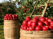 В Італії планують легалізувати пів мільйона трудових мігрантів