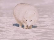 Синоптик рассказала, когда в Украине отступят холода