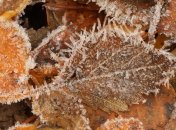 alanwatsonfeatherstone.com