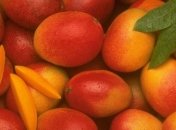 Манго контролирует концентрацию сахара в крови