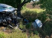 Смертельное ДТП в Одесской области: погибло шесть человек (Видео)