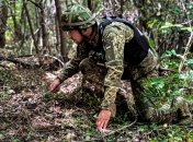 Розмінування території