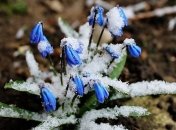 Морозные ночи и теплые дни: прогноз погоды на начало недели