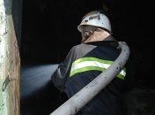 Во время ликвидации пожара на Донетчине пожарные спасли женщину 