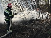 В Житомирской области пожар уничтожил восемь домов 