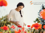 Неинвазивный пренатальный тест Панорама - безопасный точный тест на Синдром Дауна во время беременности