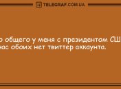 Порция отменных шуток на вечер