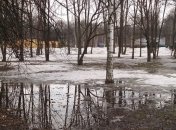 Погода в Украине на 5 февраля: осадки маловероятны 