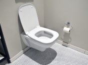 Легкий способ вернуть унитазу белизну