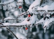 Какой праздник 15 января: народные приметы и запреты