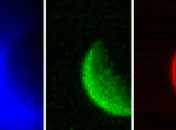 MAVEN передал первые изображения Марса