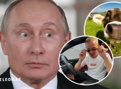 Россиянин пытался изнасиловать корову в Таиланде