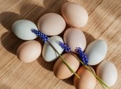 Лимонна кислота при варінні яєць допоможе легко очистити шкаралупу