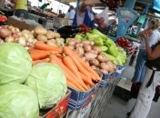 В Кабмине решили изменить закон о поддержке сельского хозяйства