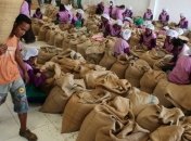 Стоимость кофе и какао падает на фоне укрепления доллара