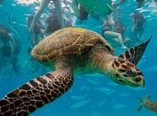 Отдых на пиратской земле