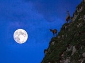 Лунная диета: питание в новолуние и полнолуние