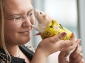 Ученые советуют на 8 марта дарить трансгенных мышей