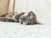 Не "не в стані", а "не в силі", "не в змозі"