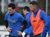 Степаненко: Мы не будем ставить автобус