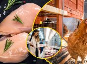 Как не ошибиться при покупке курятины