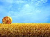 Украинцев порадует погода на праздники