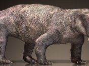 Ученые выяснили, как выжить при массовом вымирании